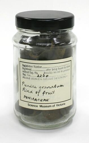 Fruits - Punica Granatum (Pomegranate)