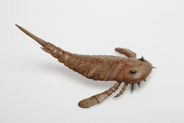 Model of sea scorpion.