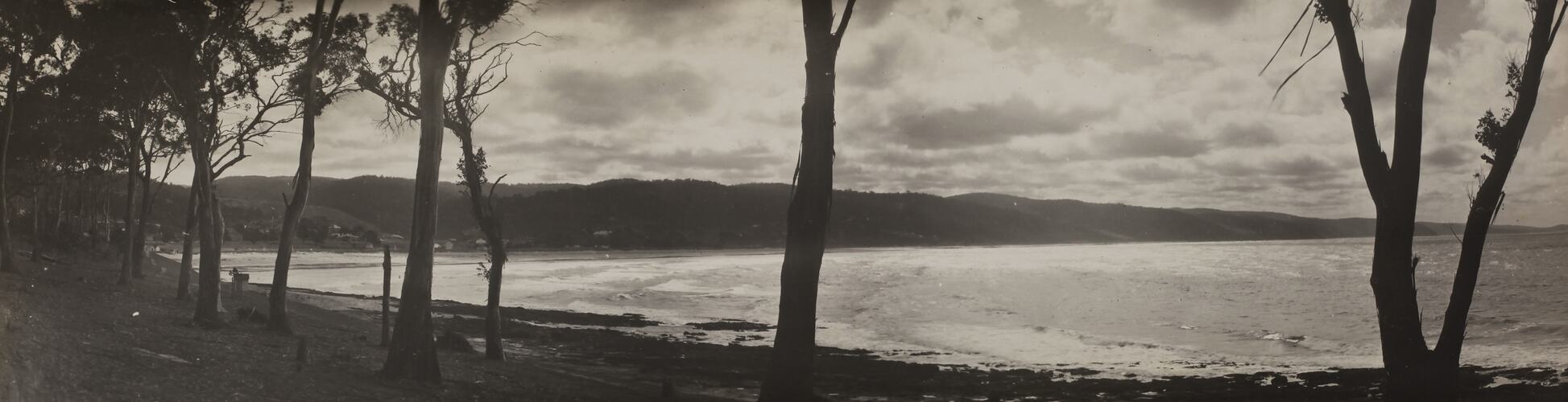 Photograph - Coastal Landscape, Lorne, Victoria, circa 1920s