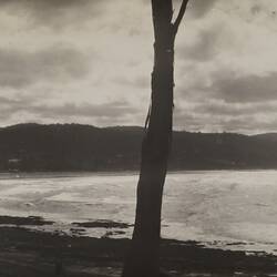 Photograph - Coastal Landscape, Lorne, Victoria, circa 1920s