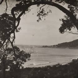 Photograph - Loutit Bay Through the Gums Looking Towards the Point, Lorne, Victoria, circa 1920s