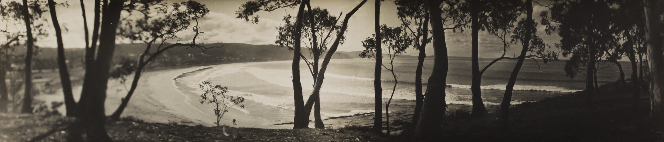 Photograph - Coastal Landscape, Lorne, Victoria, circa 1920s