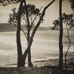 Photograph - Coastal Landscape, Lorne, Victoria, circa 1920s