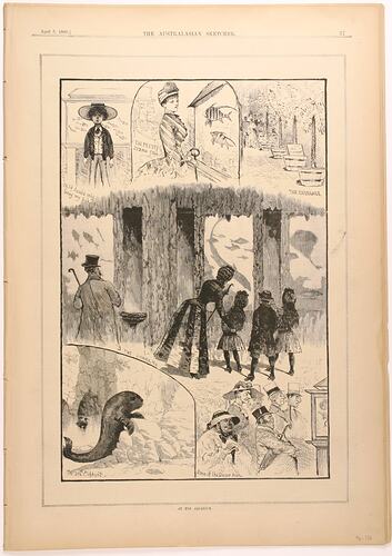 Newspaper - 'At the Aquarium', The Australasian Sketcher, Melbourne, 8 Apr 1885