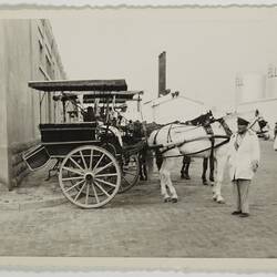 Photograph - Horse & Carriage, Las Palmas, Canary Islands, 1957
