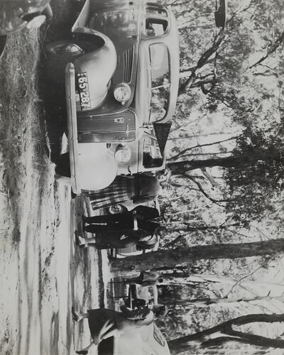 Photograph - RACV Caravan Club, People and Motor Cars in Bushland, Australia, circa 1950s