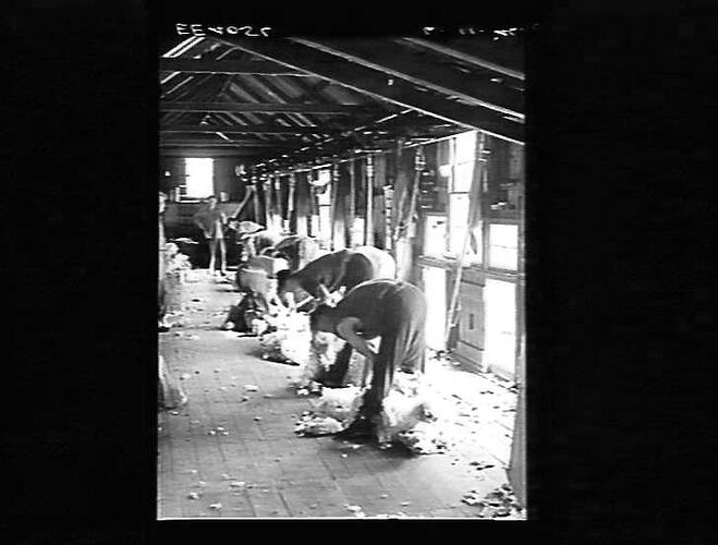 Negative - Glass