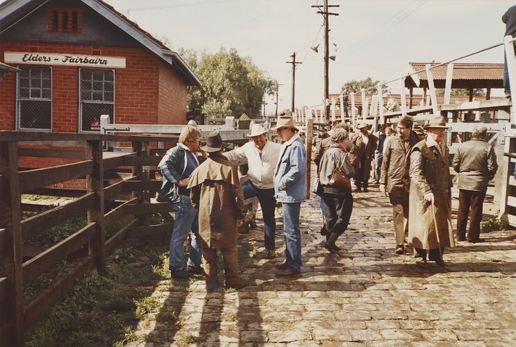 Drovers and Agents, Newmarket Saleyards, Sept 1985