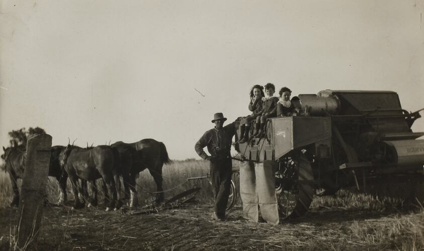 Postcard - H. V. McKay Pty Ltd, Workman with Harvester and Horses, Victoria, circa 1930s