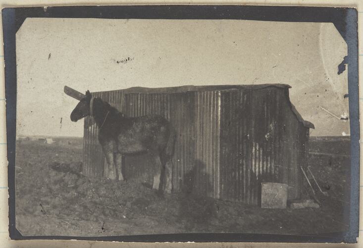 Horse & Shed, Somme, France, Sergeant John Lord, World War I, 1916