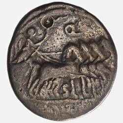 Coin - Denarius, C. ANNIVS T.F PRO.COS, Ancient Roman Republic, 82-81 BC