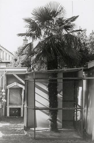 Rear Garden, Migrant Temporary Accommodation, East Malvern, Victoria, Dec, 1961
