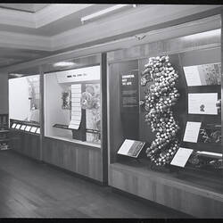 Photograph - Institute of Applied Science, Biology Display Cases, Melbourne, circa 1970