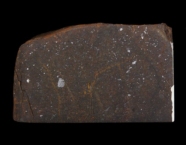 Flagg Meteorite. [E 12228]