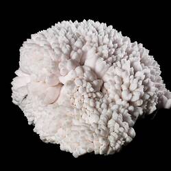 Pale pink mineral specimen.