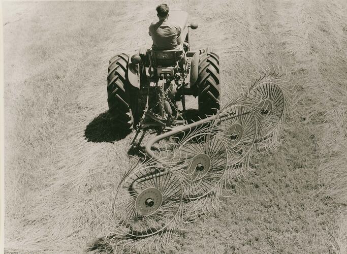 Man driving a tractor coupled to a fingerwheel rake in field.