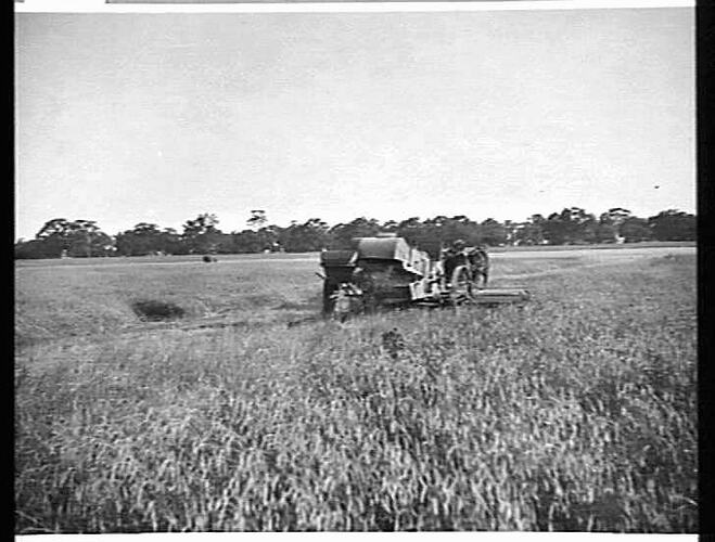 8 FT HEADER ON MR KELLY'S FARM LONGERNONG STATION DOOEN