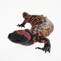 Our Wondrous Planet, Our Wild Family: Model - Gila Monster, Heloderma ...