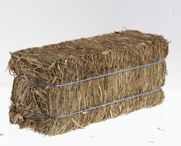 Hay compacted into a rectangular shaped bale tied with blue string.