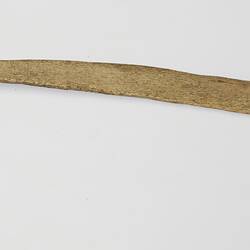 A bark stripping tool given to Baldwin Spencer by Tekenica Williams, Navarino Island, May 1929.