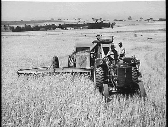 HARVESTING THE GRAIN AND BALING THE STRAW FROM A BARLEY CROP. HENDERSON BROTHERS IN DONNYBROOK VICTORIA WITH THEIR SUNSHINE NO. 4 POWER-DRIVE HEADER, SUNSHINE PICKUP BALER FITTED WITH CUTTERBAR AND TWO SUNSHINE MASSEY HARRIS TRACTORS: JAN 1951