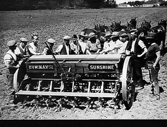 `SUNTYNE' WORKING ON TRAINING FARM AT BRANDON, ENGLAND: 1928
