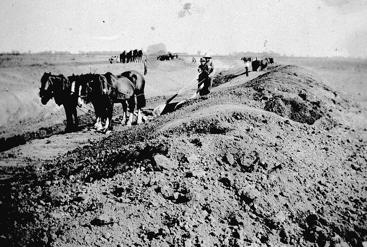 [Excavating an irrigation channel using horsedrawn earth scoops, Undera, near Shepparton, 1934.]