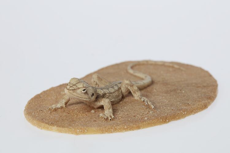 Lizard model with diamon pattern along the side of its body.