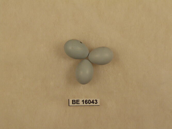 Three bird eggs with specimen label.