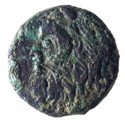 Coin - Bronze, Sarmatia, Olbia, circa 350 BC