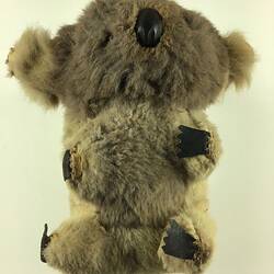 Koala - Peter Schmideg, Port Melbourne, Jan 1957