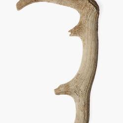 Pick. Grime's Graves, Norfolk, England, United Kingdom. Late Neolithic deriod