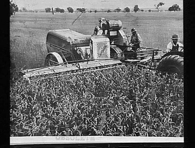 Photograph - H. V. McKay factory and/or equipment