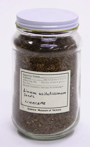Linacea - Linum Usitatissimum Seeds