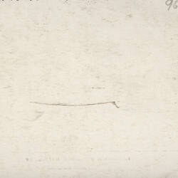 Postcard - Southern Facade, Exhibition Building, Harding & Billing, Melbourne, circa 1904 (Reverse)