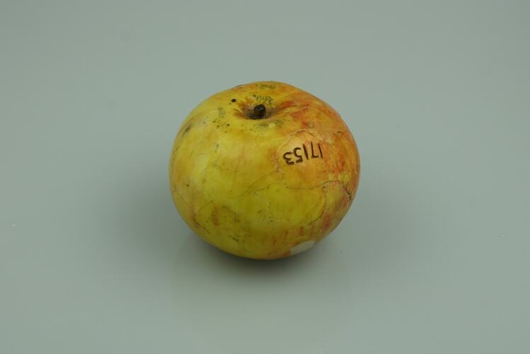 Apple Model - Whatmough's Bitter Sweet No. 3, Victoria, 1875