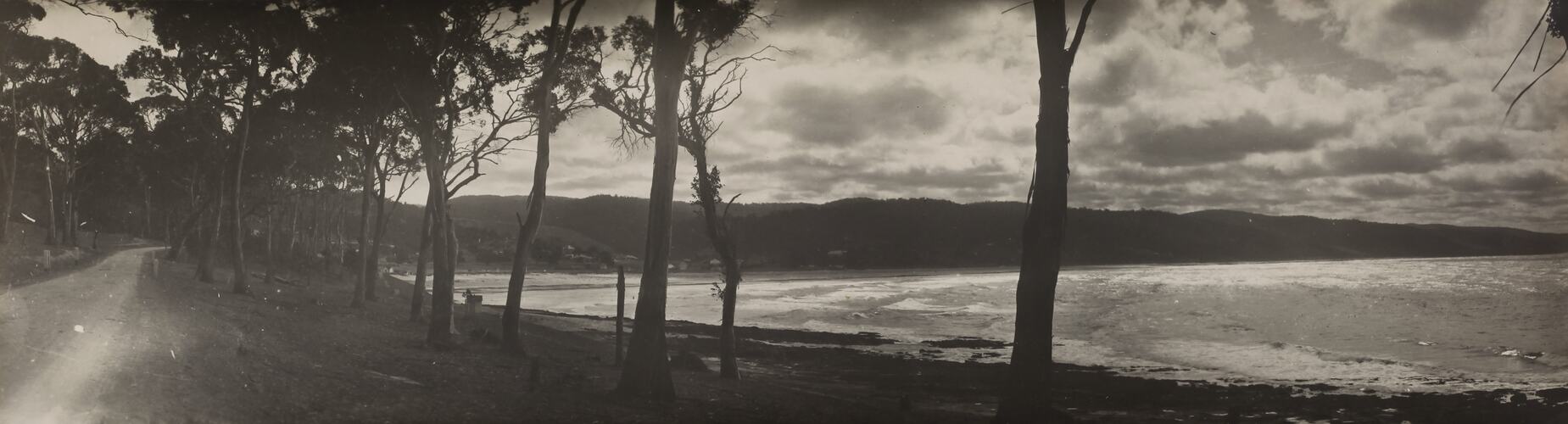 Photograph - Coastal Landscape, Lorne, Victoria, circa 1920s