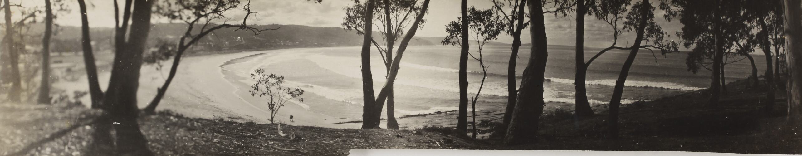 Photograph - Coastal Landscape, Lorne, Victoria, circa 1920s
