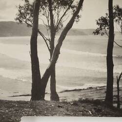 Photograph - Coastal Landscape, Lorne, Victoria, circa 1920s