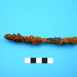 Nail - Metal, 1850s-circa mid-20th century