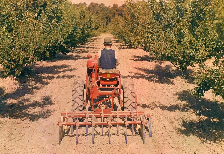 GL-152 & Farmall A, Glen Waverley
