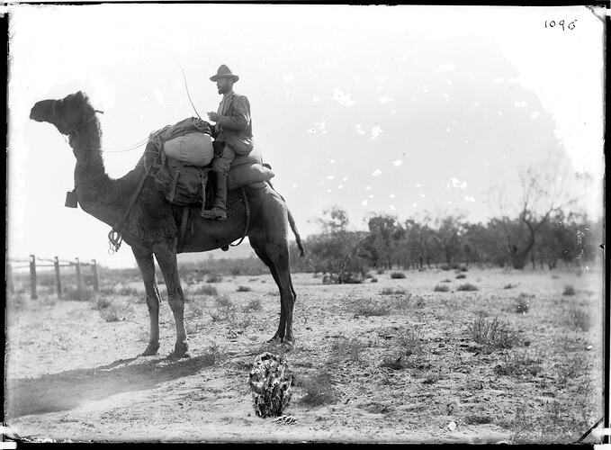 Glass plate, Crown Point, Central Australia, Northern Territory, Australia, May 1894-Aug 1894