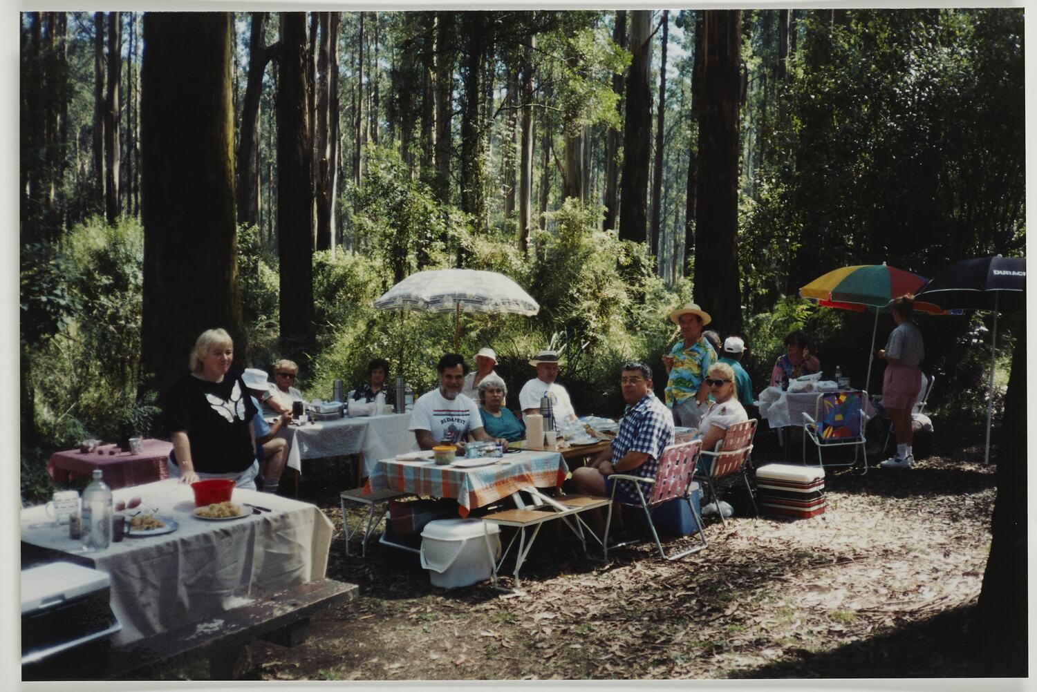 Photograph Group Picnic, Melbourne, 1995