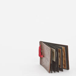 Brown leather-covered photo album.