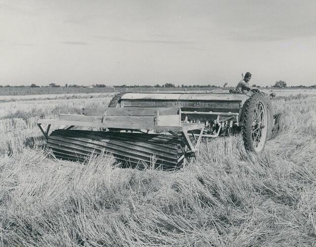 Man driving a tractor pulling a seed drill with a large grooved roller behind, in a stubble field.