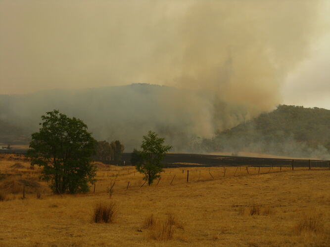 Bushfire burning trees on a hillside.