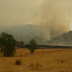 Digital Photograph - Crown Land on Fire, Black Saturday Bushfires, Rosewhite, Victoria, 9 Feb 2009