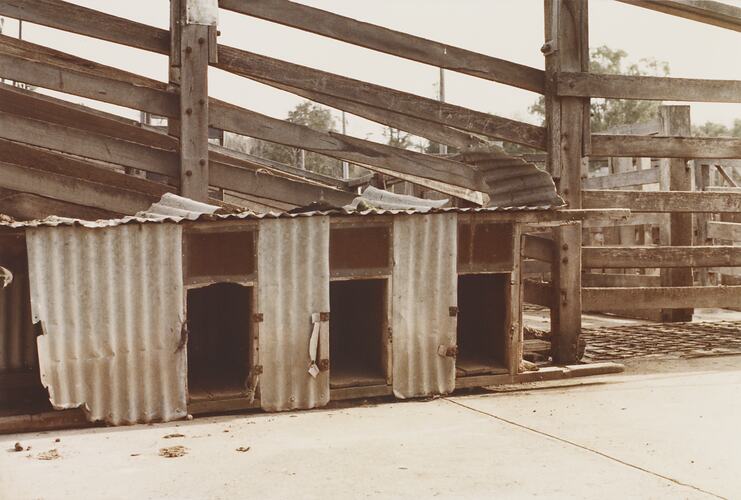 Dog Kennels, Newmarket Saleyards, Aug 1985