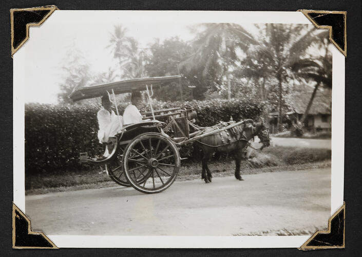Two men sitting in carriage pulled by small horse.