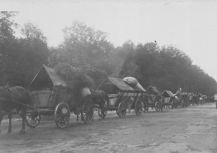 Horse-Drawn Wagons Transporting Displaced Persons, Salzgitter Region, Germany, 1946